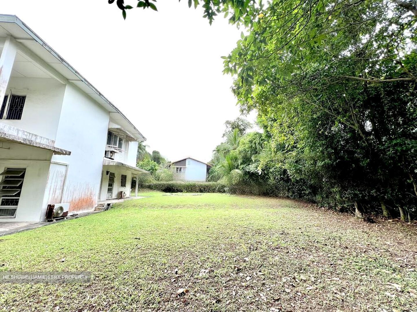 Clementi Park (D21), Detached #422355941